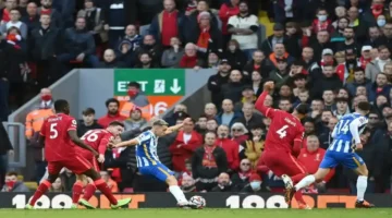 توقعات الذكاء الاصطناعي لنتيجة مواجهة ليفربول وبرايتون في الجولة 31 للدوري الإنجليزي